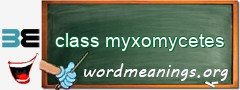 WordMeaning blackboard for class myxomycetes